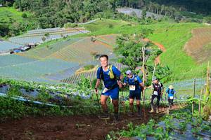 BIB: 
                            <button type="button" onclick="openModal(13382616)" class="btn btn-primary btn-sm float-right btn-popup" data-toggle="modal" data-target=".modal-high-quality">
                        <i class="fas fa-shopping-cart"></i> Add to Cart
                    </button>
                                            <button type="button" onclick="isThisMe(13382616, true)" class="btn btn-success btn-sm float-right btn-popup btn-isme hidden" data-toggle="tooltip" data-placement="bottom" title="นี่คือรูปของคุณใช่ไหม คลิกที่นี่เพื่อเอาเข้าอัลบั้ม">
                        <i class="fas fa-plus"></i> Add to album
                    </button>
                    <button type="button" onclick="isThisMe(13382616, false)" class="btn btn-warning btn-sm float-right btn-popup btn-isnotme hidden">
                        <i class="fas fa-ban"></i> Remove from album
                    </button>